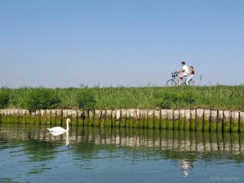 Pedalare in bicicletta: uno dei piaceri di una vacanza a Caorle (Foto C.Perer)